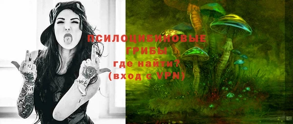 дурь Алексеевка