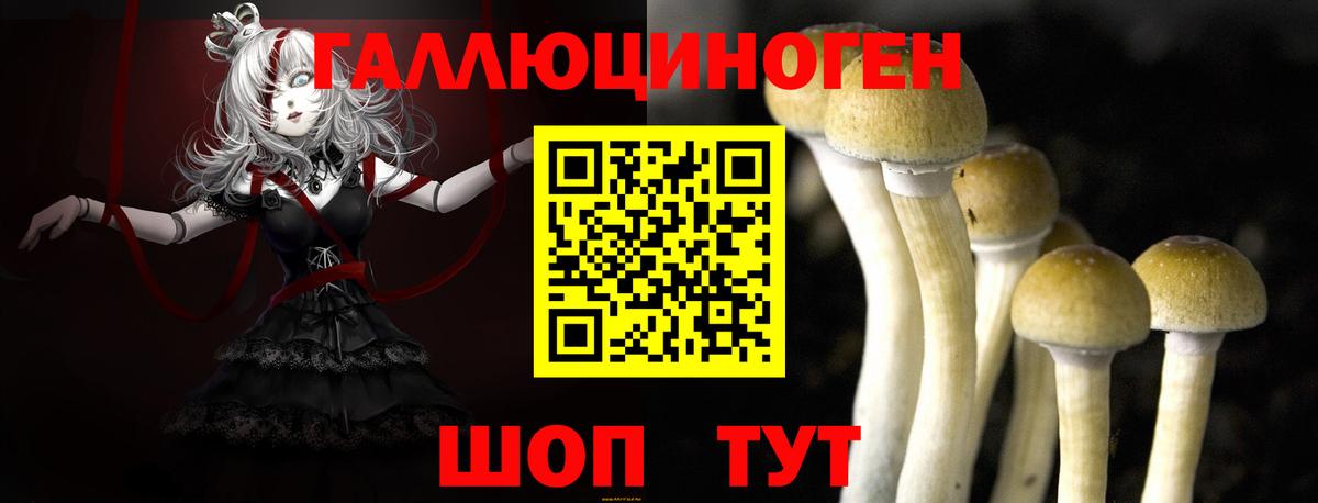 Кемерово  Галлюциногенные грибы Psilocybe  Псилоцибиновые грибы ЛСД  Вход с VPN 